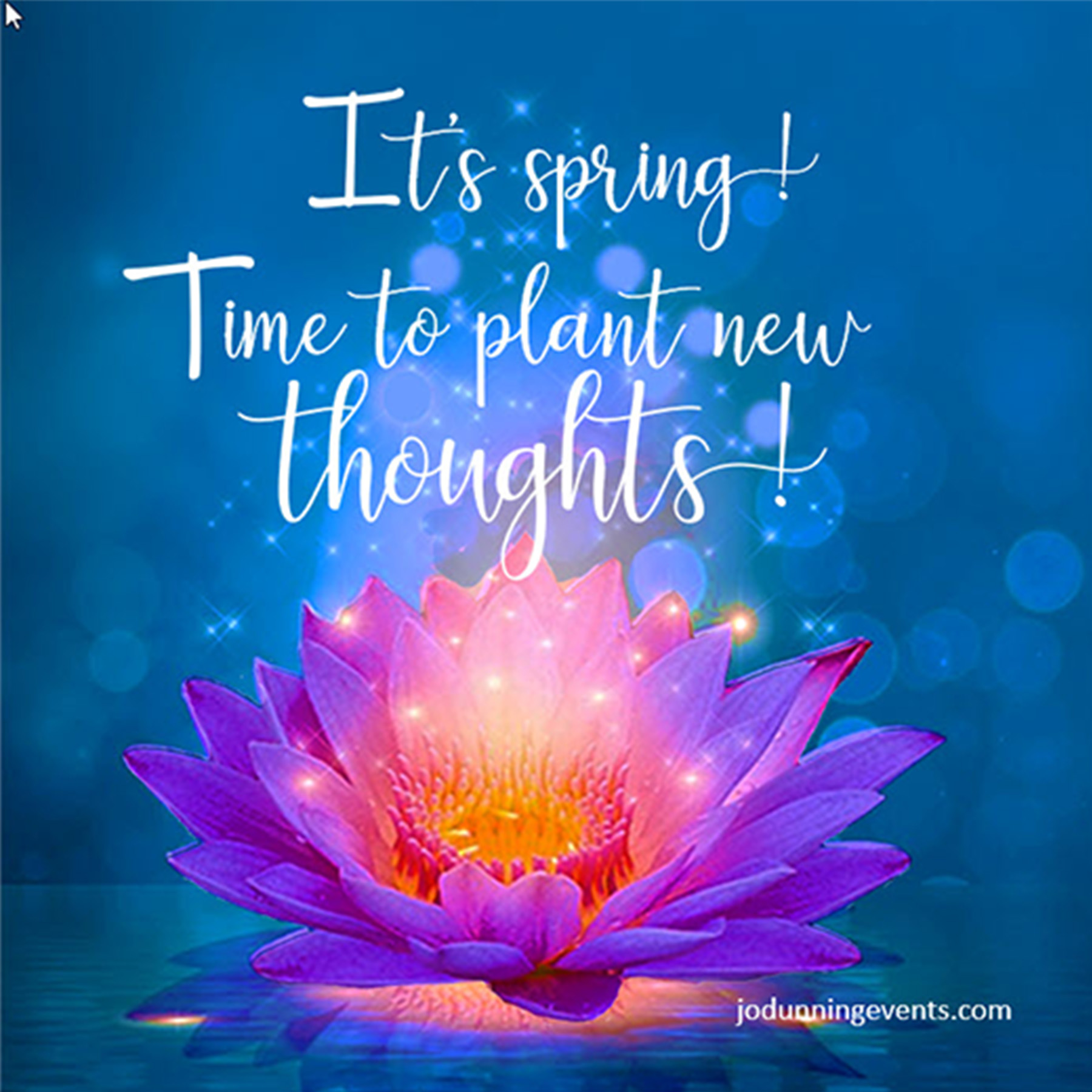 It's Spring