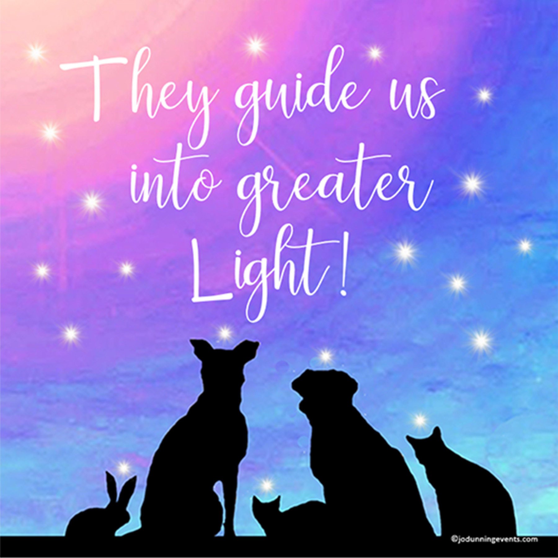 Gems from Jo - Special Pet Message