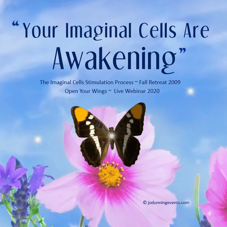 GEM - From Jo , Your Imaginal Cells Are Waking up